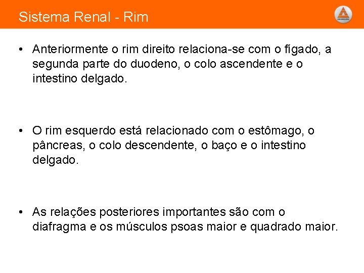 Sistema Renal - Rim • Anteriormente o rim direito relaciona-se com o fígado, a