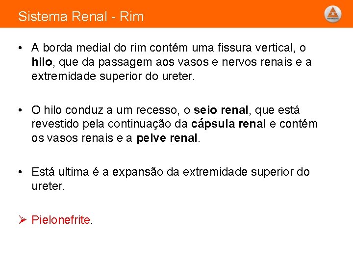 Sistema Renal - Rim • A borda medial do rim contém uma fissura vertical,