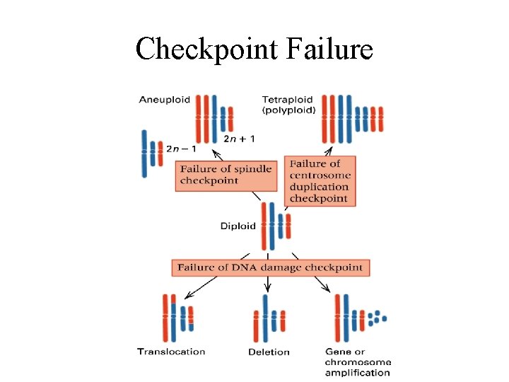 Checkpoint Failure 