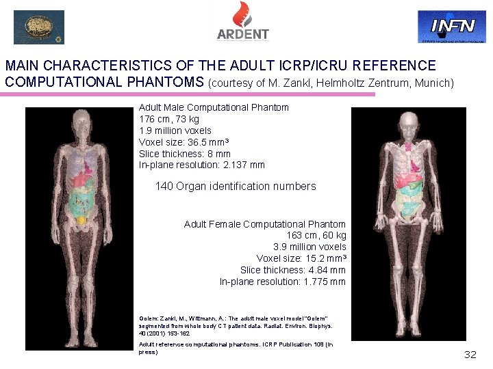 MAIN CHARACTERISTICS OF THE ADULT ICRP/ICRU REFERENCE COMPUTATIONAL PHANTOMS (courtesy of M. Zankl, Helmholtz