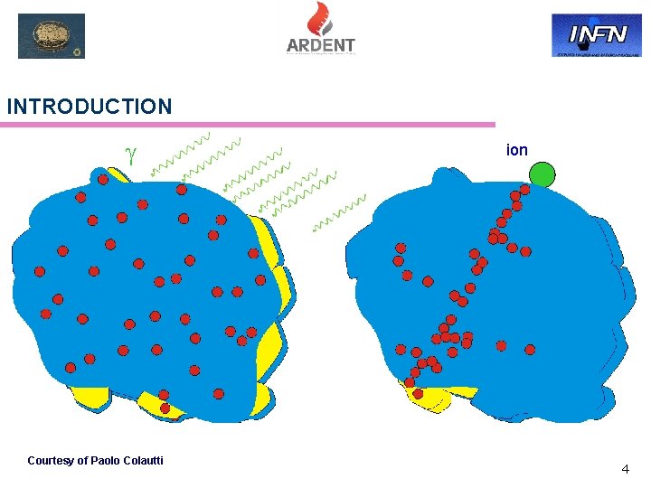 INTRODUCTION Courtesy of Paolo Colautti ion 4 