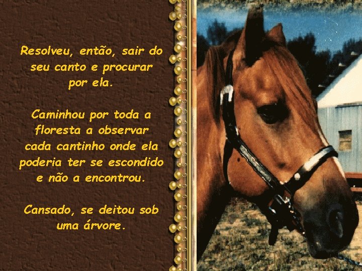 Resolveu, então, sair do seu canto e procurar por ela. Caminhou por toda a