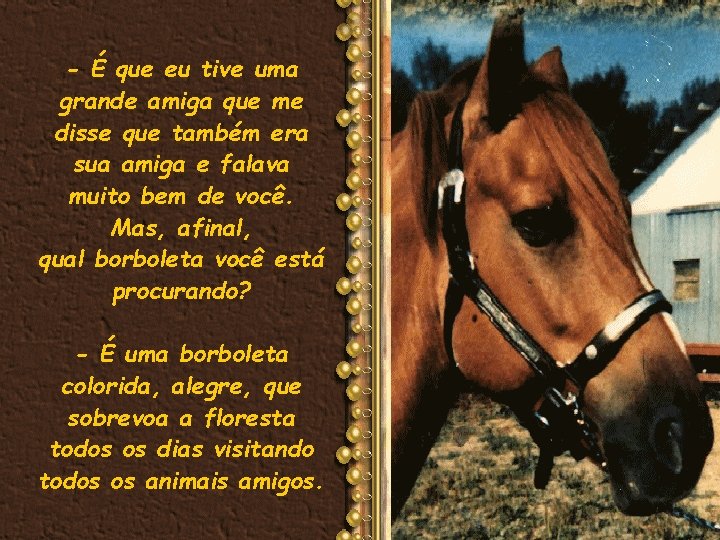 - É que eu tive uma grande amiga que me disse que também era