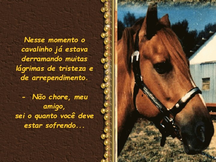 Nesse momento o cavalinho já estava derramando muitas lágrimas de tristeza e de arrependimento.