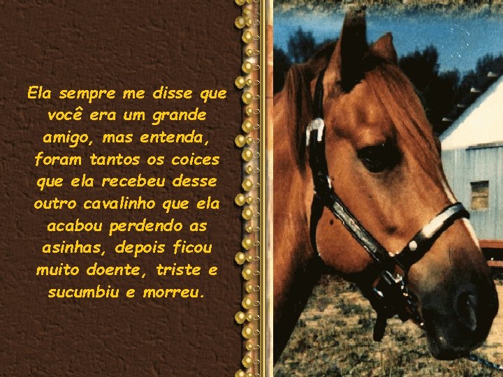 Ela sempre me disse que você era um grande amigo, mas entenda, foram tantos