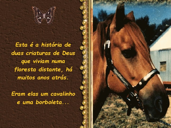 Esta é a história de duas criaturas de Deus que viviam numa floresta distante,