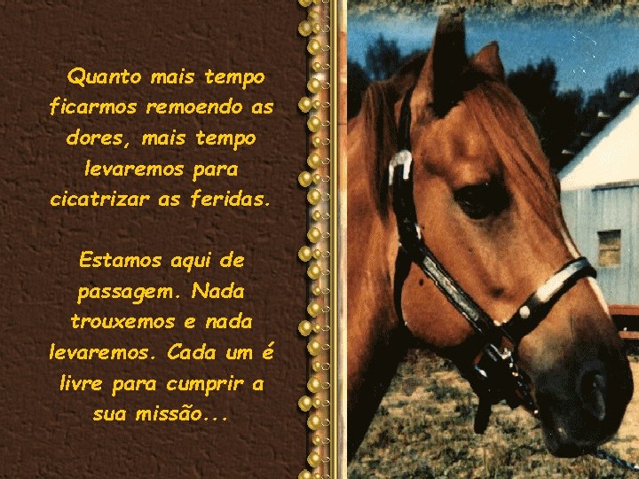 Quanto mais tempo ficarmos remoendo as dores, mais tempo levaremos para cicatrizar as feridas.