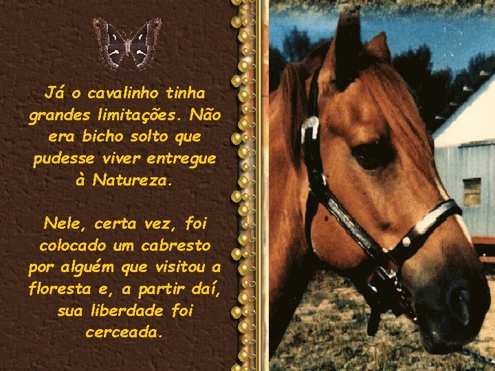 Já o cavalinho tinha grandes limitações. Não era bicho solto que pudesse viver entregue