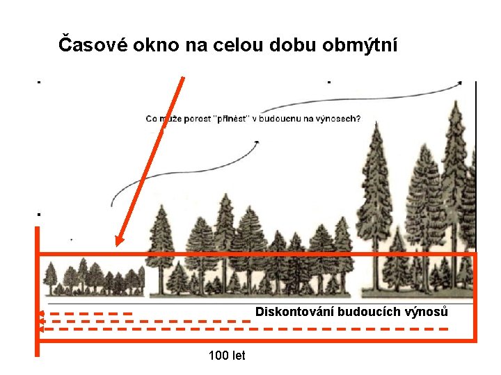 Časové okno na celou dobu obmýtní Diskontování budoucích výnosů 100 let 