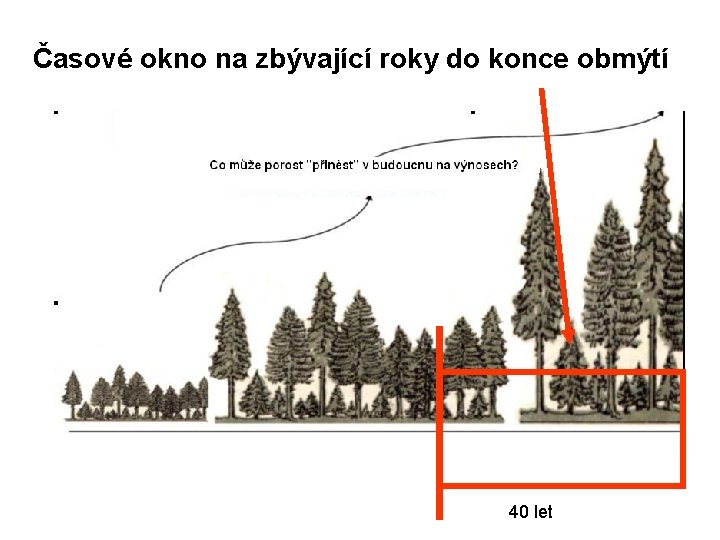 Časové okno na zbývající roky do konce obmýtí 40 let 