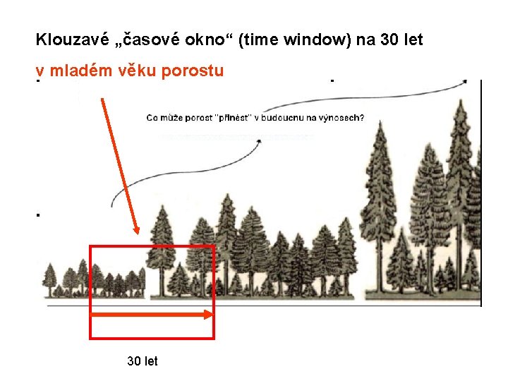 Klouzavé „časové okno“ (time window) na 30 let v mladém věku porostu 30 let