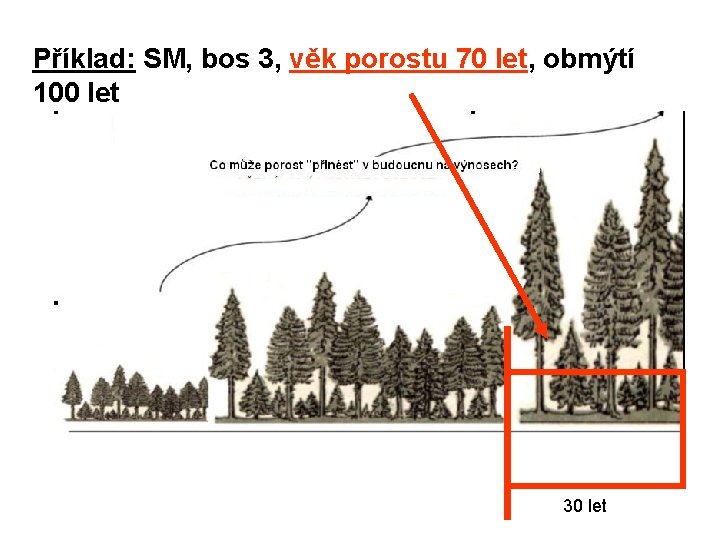 Příklad: SM, bos 3, věk porostu 70 let, obmýtí 100 let 30 let 