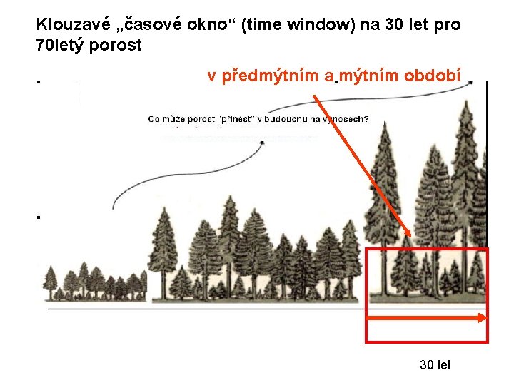 Klouzavé „časové okno“ (time window) na 30 let pro 70 letý porost v předmýtním