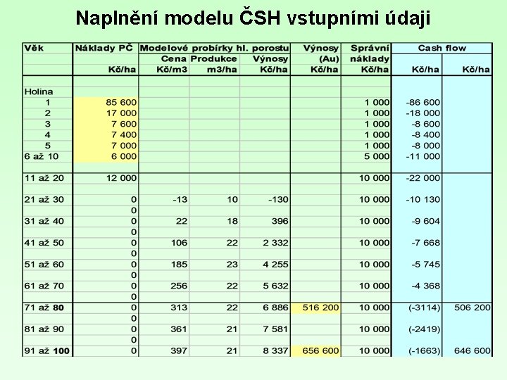 Naplnění modelu ČSH vstupními údaji 