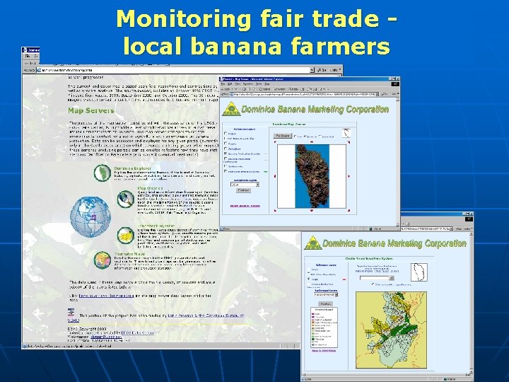 Monitoring fair trade local banana farmers 