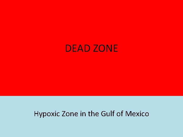 DEAD ZONE Hypoxic Zone in the Gulf of Mexico 