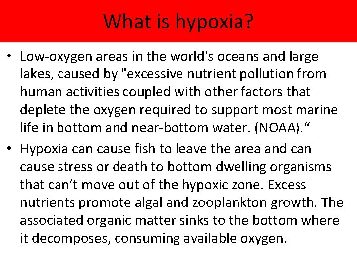 What is hypoxia? • Low-oxygen areas in the world's oceans and large lakes, caused