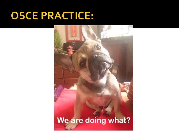 OSCE PRACTICE: 