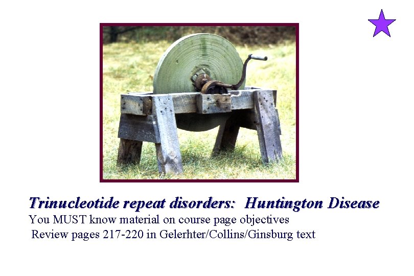 Trinucleotide repeat disorders: Huntington Disease You MUST know material on course page objectives Review