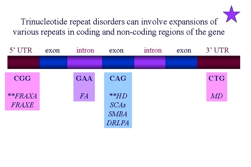 Trinucleotide repeat disorders can involve expansions of various repeats in coding and non-coding regions