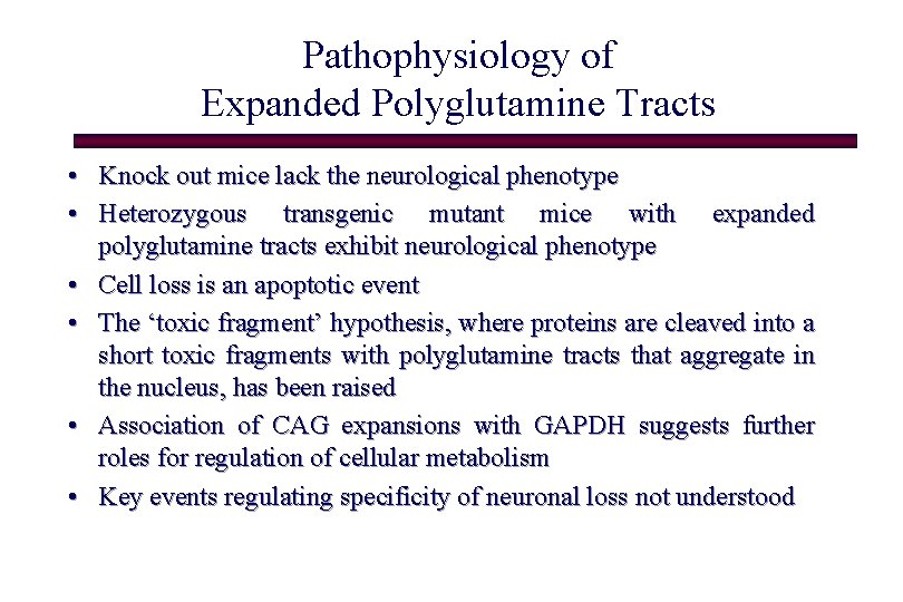Pathophysiology of Expanded Polyglutamine Tracts • Knock out mice lack the neurological phenotype •