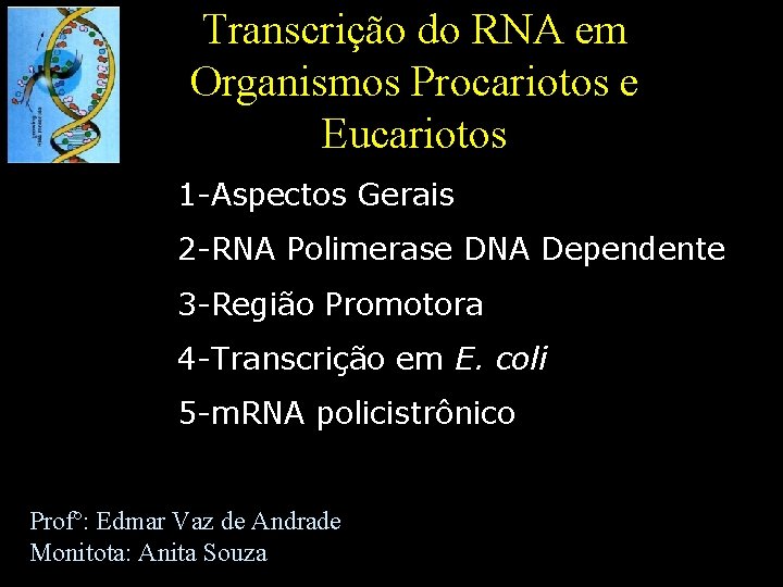 Transcrição do RNA em Organismos Procariotos e Eucariotos 1 -Aspectos Gerais 2 -RNA Polimerase