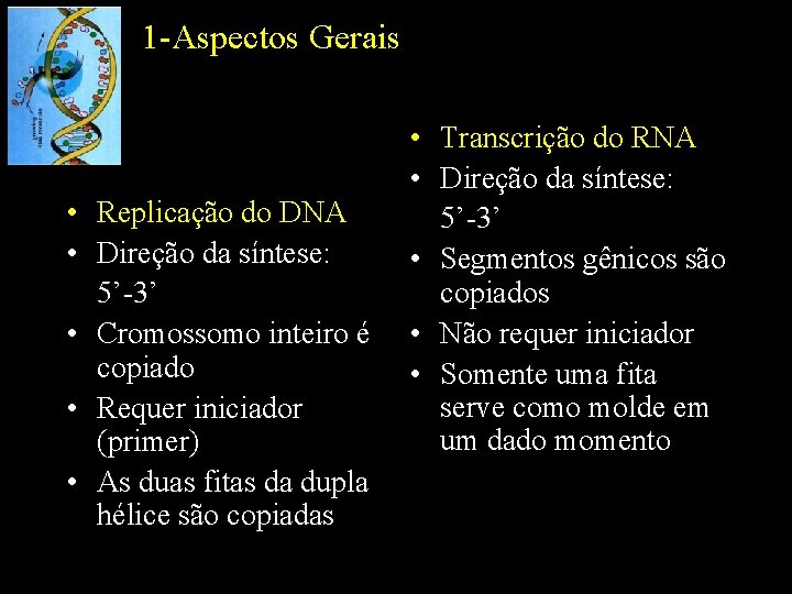 1 -Aspectos Gerais • Replicação do DNA • Direção da síntese: 5’-3’ • Cromossomo