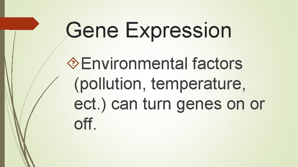 Gene Expression Environmental factors (pollution, temperature, ect. ) can turn genes on or off.