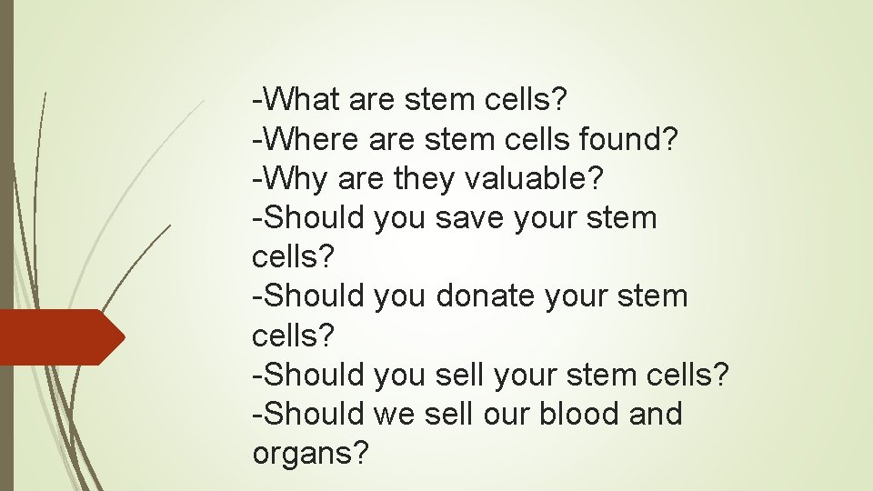 -What are stem cells? -Where are stem cells found? -Why are they valuable? -Should