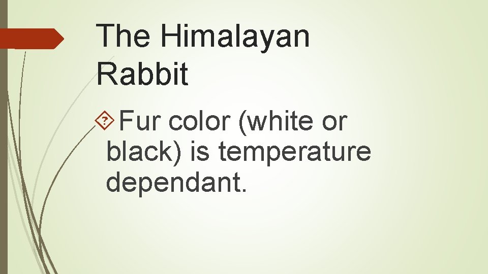 The Himalayan Rabbit Fur color (white or black) is temperature dependant. 