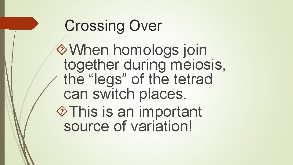 Crossing Over When homologs join together during meiosis, the “legs” of the tetrad can