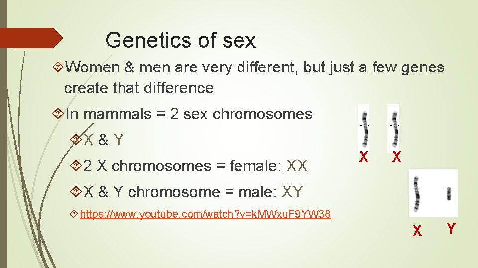 Genetics of sex Women & men are very different, but just a few genes