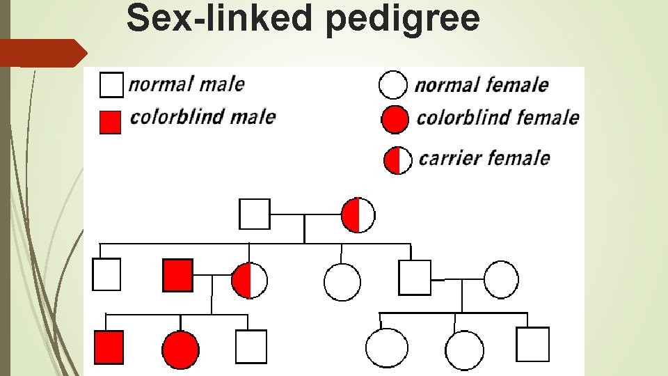 Sex-linked pedigree 