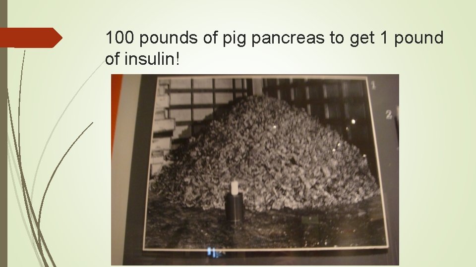 100 pounds of pig pancreas to get 1 pound of insulin! 