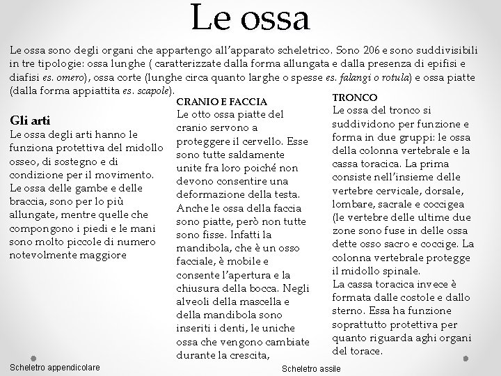 Le ossa sono degli organi che appartengo all’apparato scheletrico. Sono 206 e sono suddivisibili