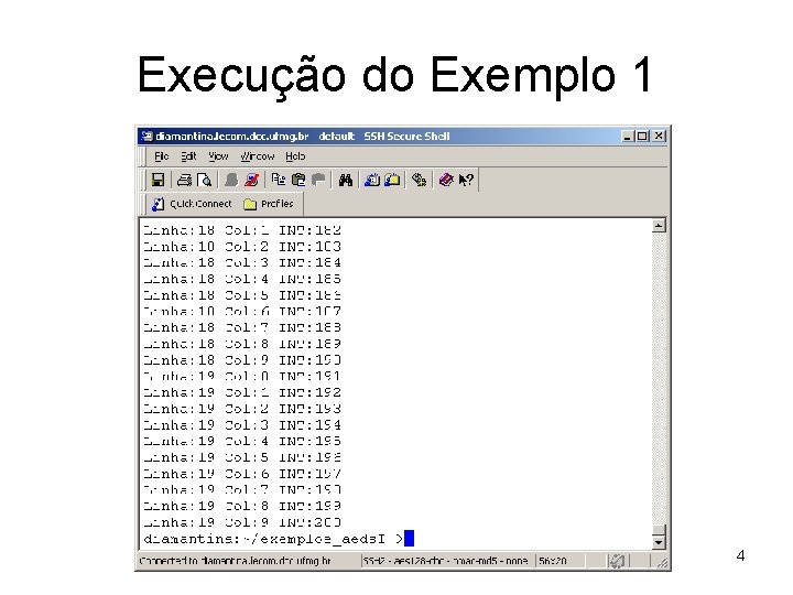 Execução do Exemplo 1 4 