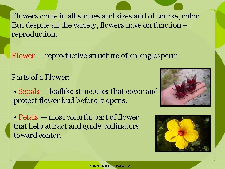 Flowers come in all shapes and sizes and of course, color. But despite all