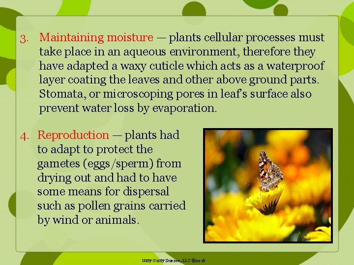 3. Maintaining moisture — plants cellular processes must take place in an aqueous environment,