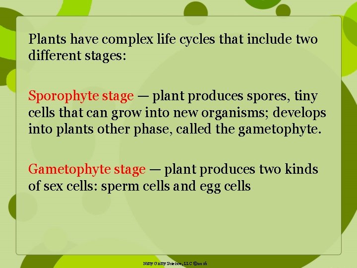 Plants have complex life cycles that include two different stages: Sporophyte stage — plant