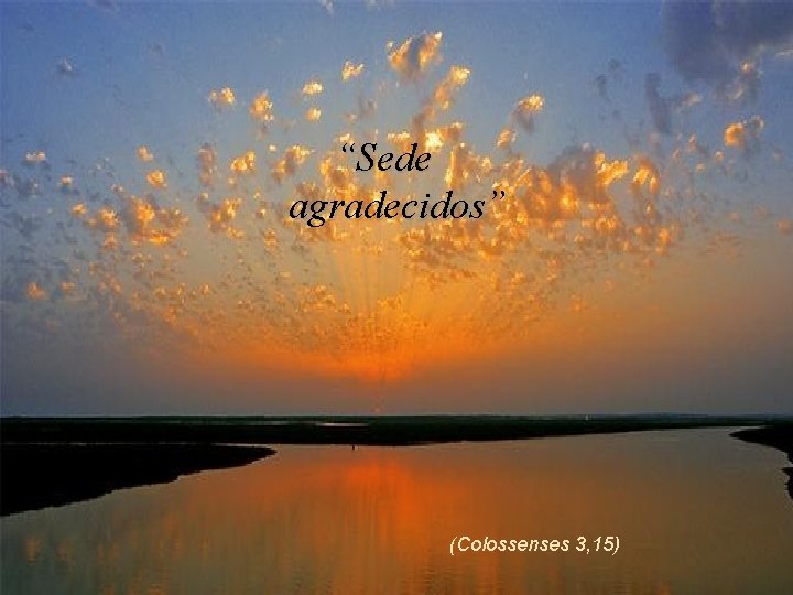 “Sede agradecidos” (Colossenses 3, 15) 