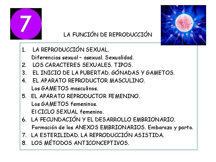 LA FUNCIÓN DE REPRODUCCIÓN 1. 2. 3. 4. 5. 6. 7. 8. LA REPRODUCCIÓN