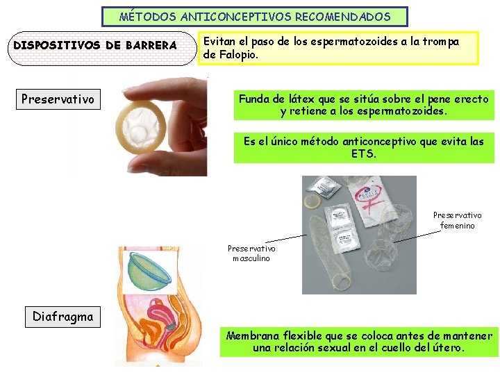 MÉTODOS ANTICONCEPTIVOS RECOMENDADOS DISPOSITIVOS DE BARRERA Preservativo Evitan el paso de los espermatozoides a