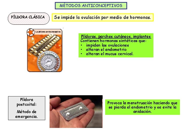 MÉTODOS ANTICONCEPTIVOS PÍLDORA CLÁSICA Se impide la ovulación por medio de hormonas. Píldoras, parches