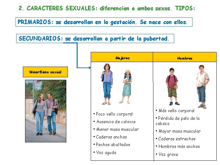 2. CARACTERES SEXUALES: diferencian a ambos sexos. TIPOS: PRIMARIOS: se desarrollan en la gestación.