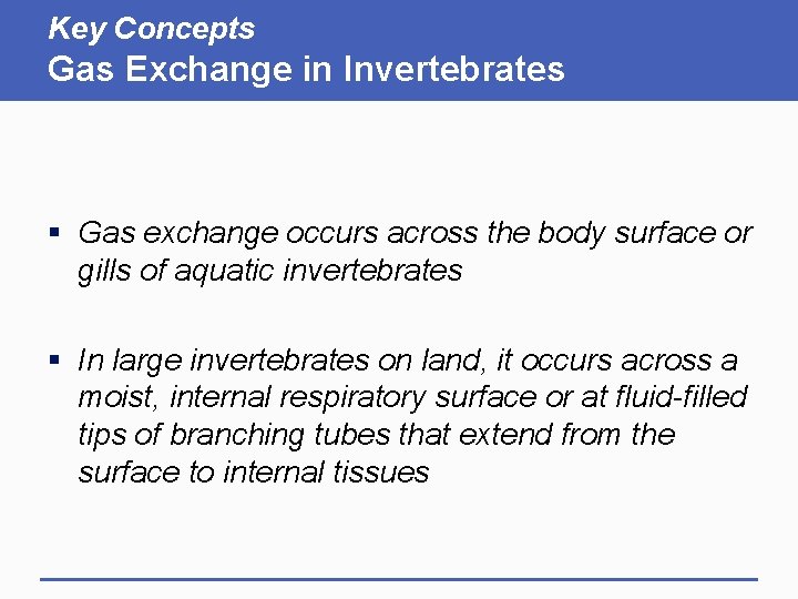 Key Concepts Gas Exchange in Invertebrates § Gas exchange occurs across the body surface