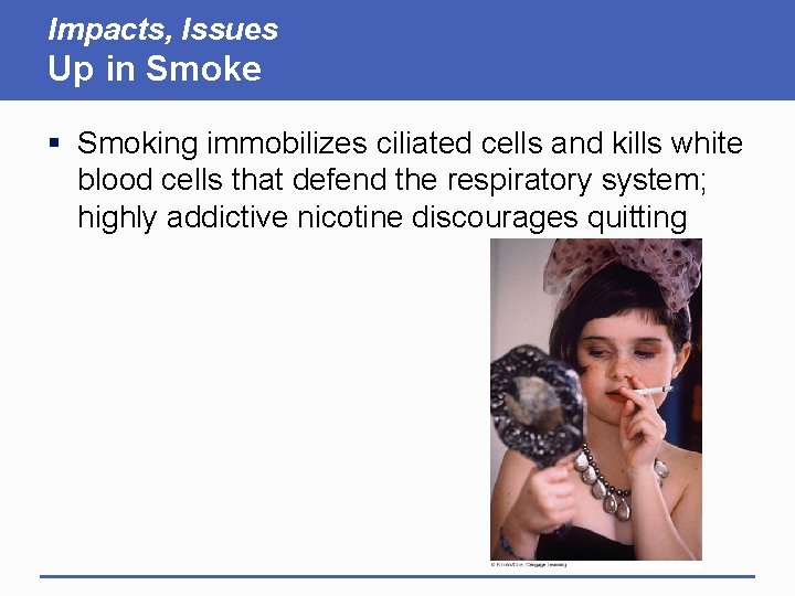 Impacts, Issues Up in Smoke § Smoking immobilizes ciliated cells and kills white blood