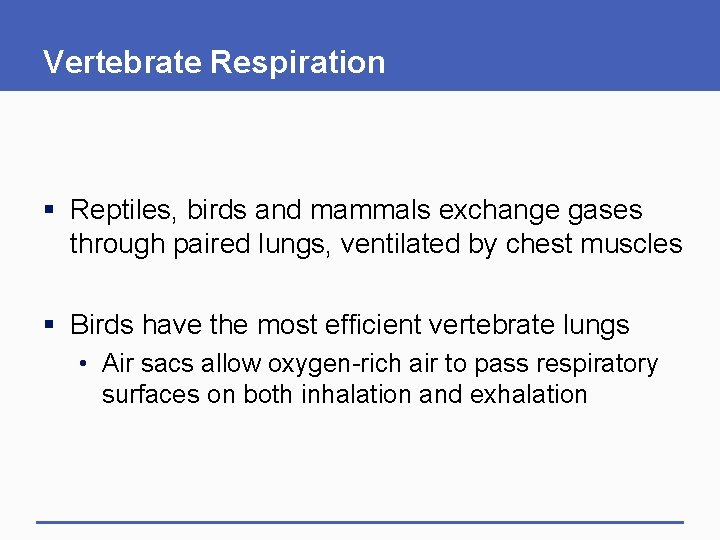 Vertebrate Respiration § Reptiles, birds and mammals exchange gases through paired lungs, ventilated by