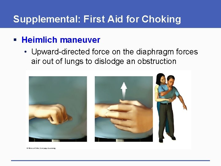 Supplemental: First Aid for Choking § Heimlich maneuver • Upward-directed force on the diaphragm