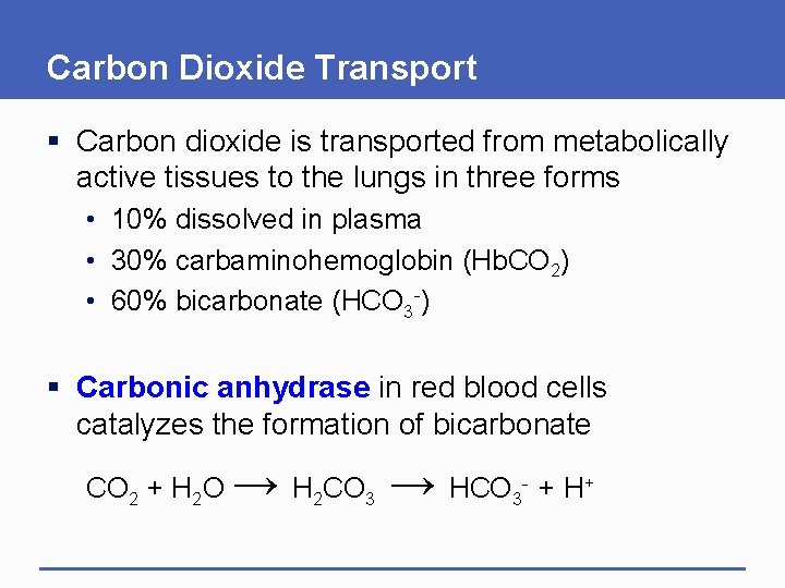 Carbon Dioxide Transport § Carbon dioxide is transported from metabolically active tissues to the