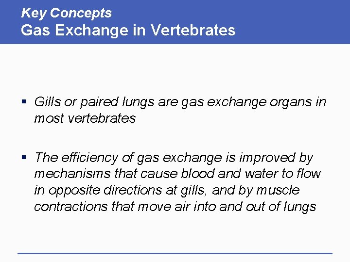 Key Concepts Gas Exchange in Vertebrates § Gills or paired lungs are gas exchange